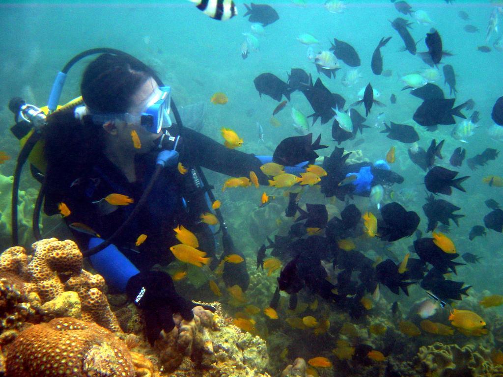 Paradise Island Park & Beach Resort Samal Exterior foto